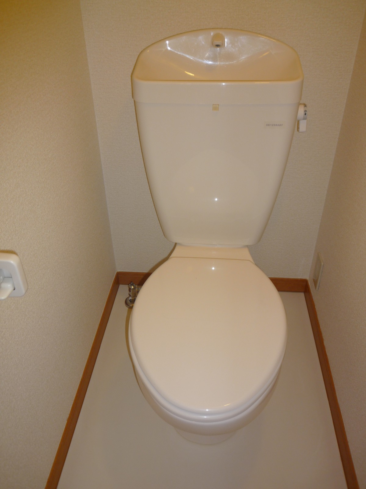 Toilet. Toilets are western style.