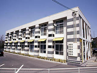 Building appearance. Gray & White calm striped