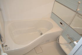 Bath. 1 tsubo bath. Very spacious.