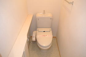 Toilet. Housed in a toilet. This is useful.