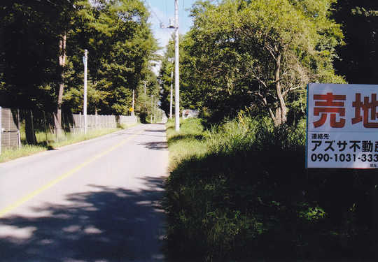 View photos from the local