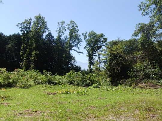 View photos from the local