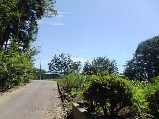 View photos from the local