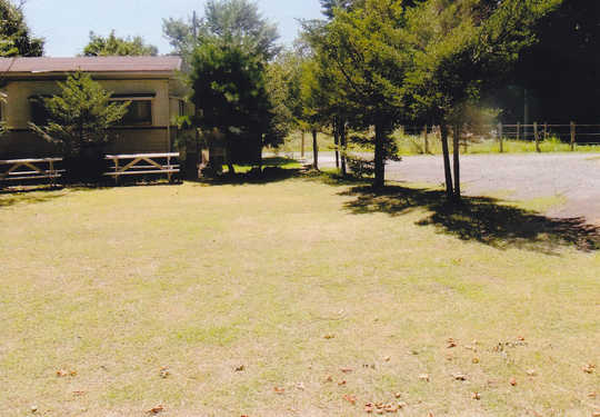 View photos from the local