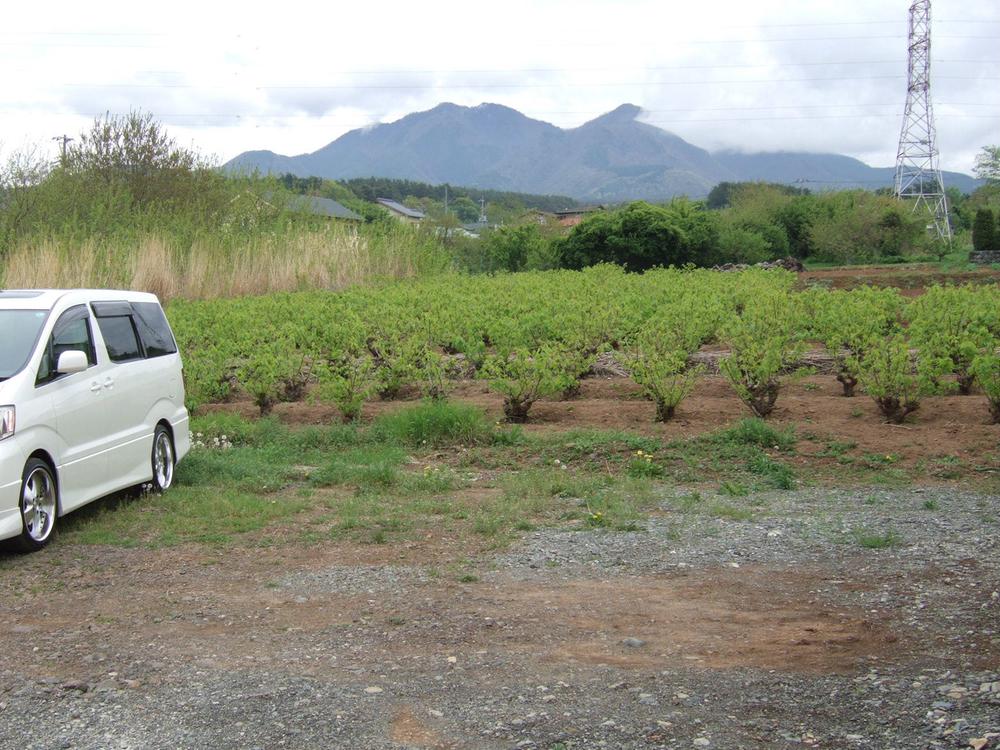 Local land photo. Local (September 2012) shooting