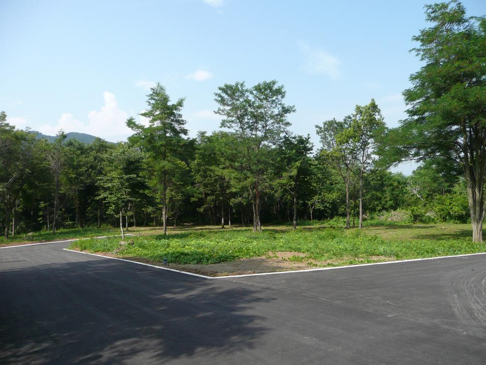 Local land photo. Local (July 2010) Shooting