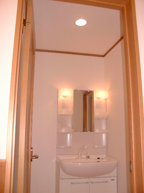 Washroom. Shampoo dresser