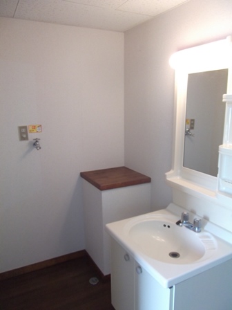 Washroom. Washbasin & Laundry Area