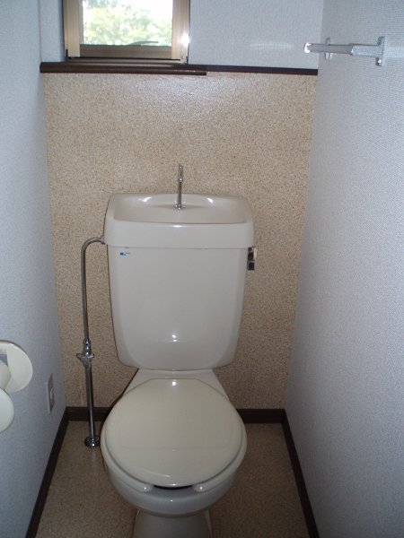 Other. Toilet