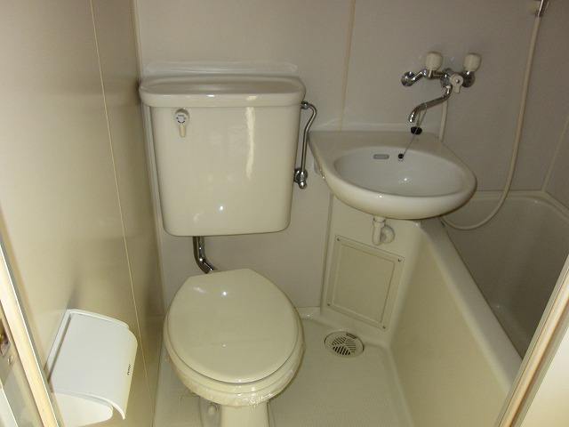 Toilet. Western-style toilet.