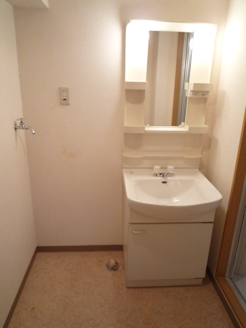 Washroom. Shampoo dresser