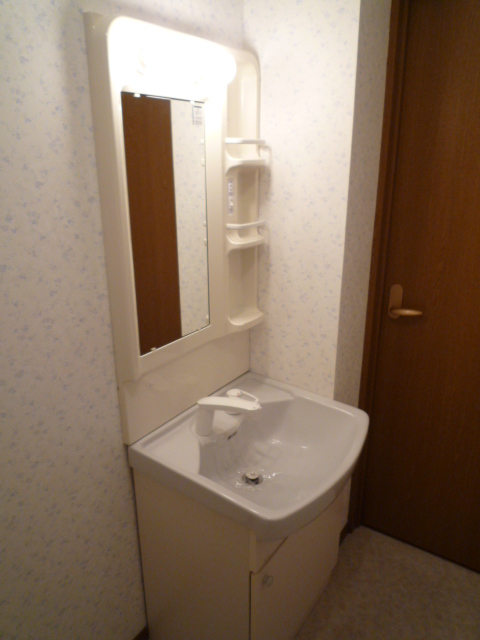 Washroom. Shampoo dresser