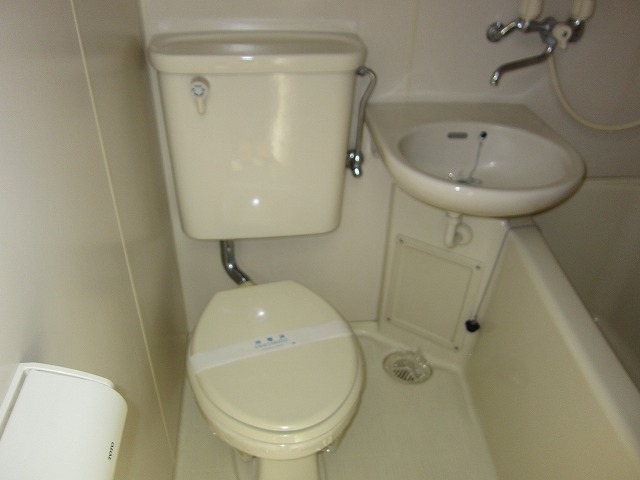 Toilet. Western-style toilet.