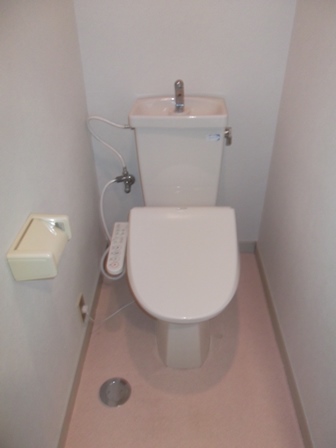 Toilet. With Washlet