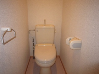 Toilet. Toilet