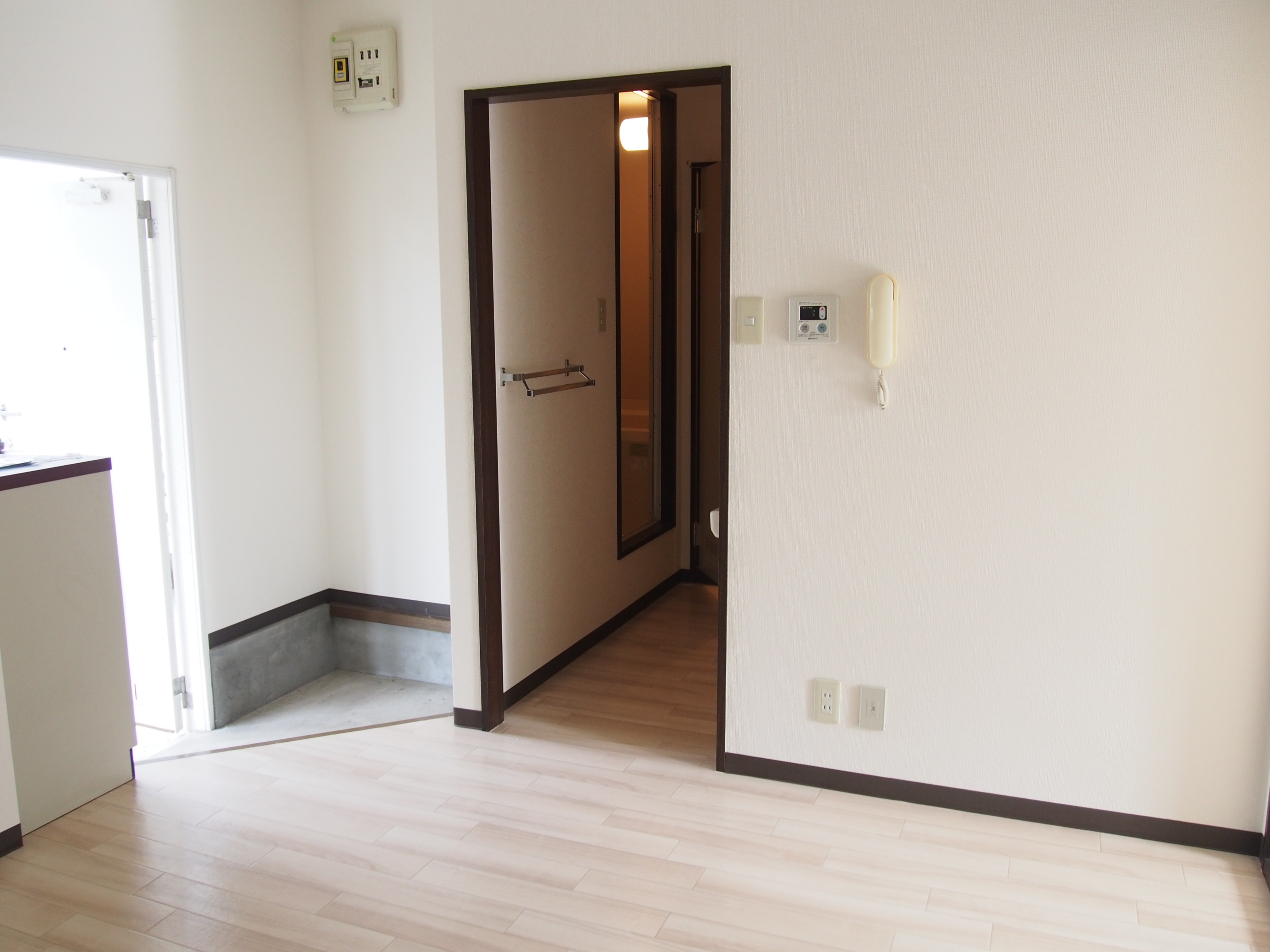 Entrance. Bright and airy foyer.