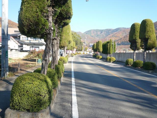 Local photos, including front road