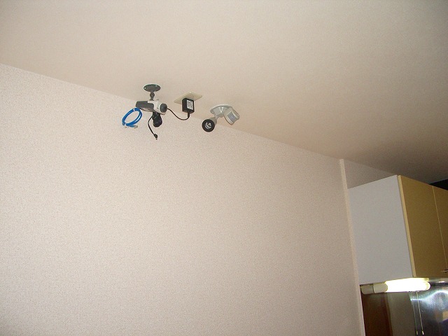 Other Equipment. Camera to watch a pet