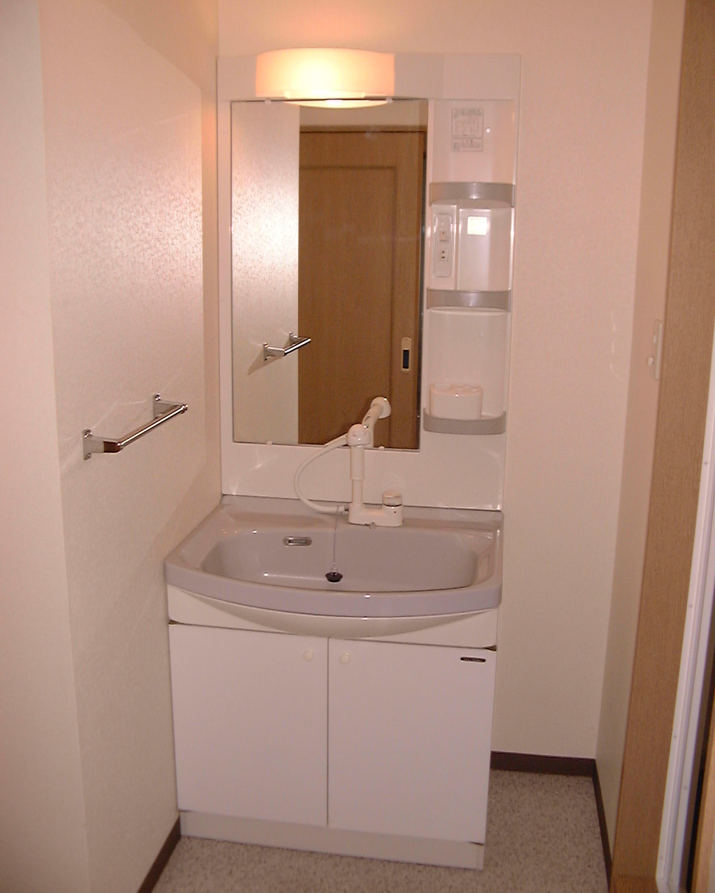 Washroom. Shampoo dresser