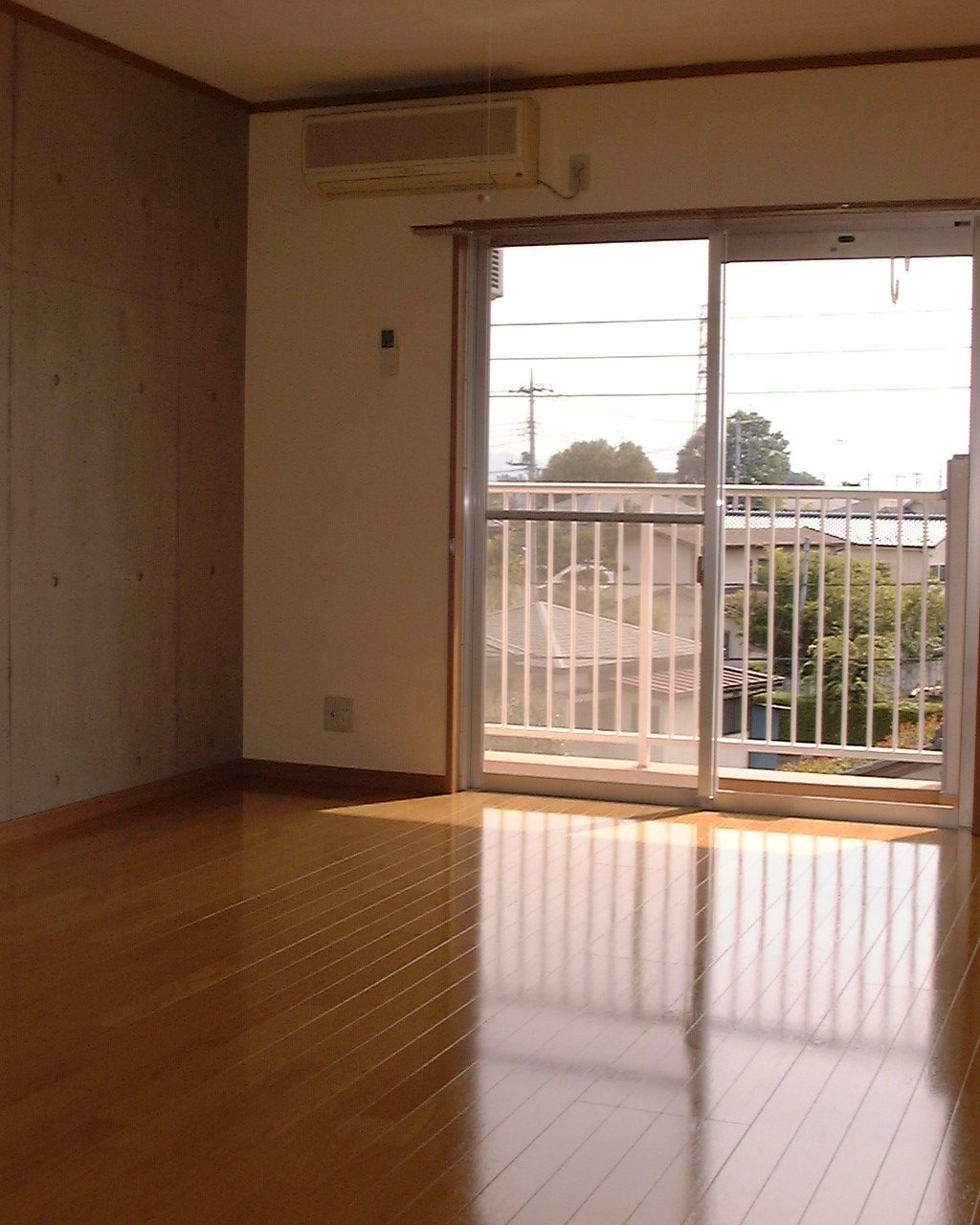 Living and room. Living