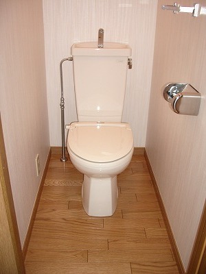 Toilet. Toilet calm in Shin'o y le