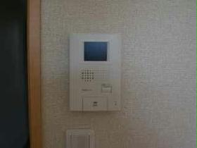 Other. Monitor with intercom