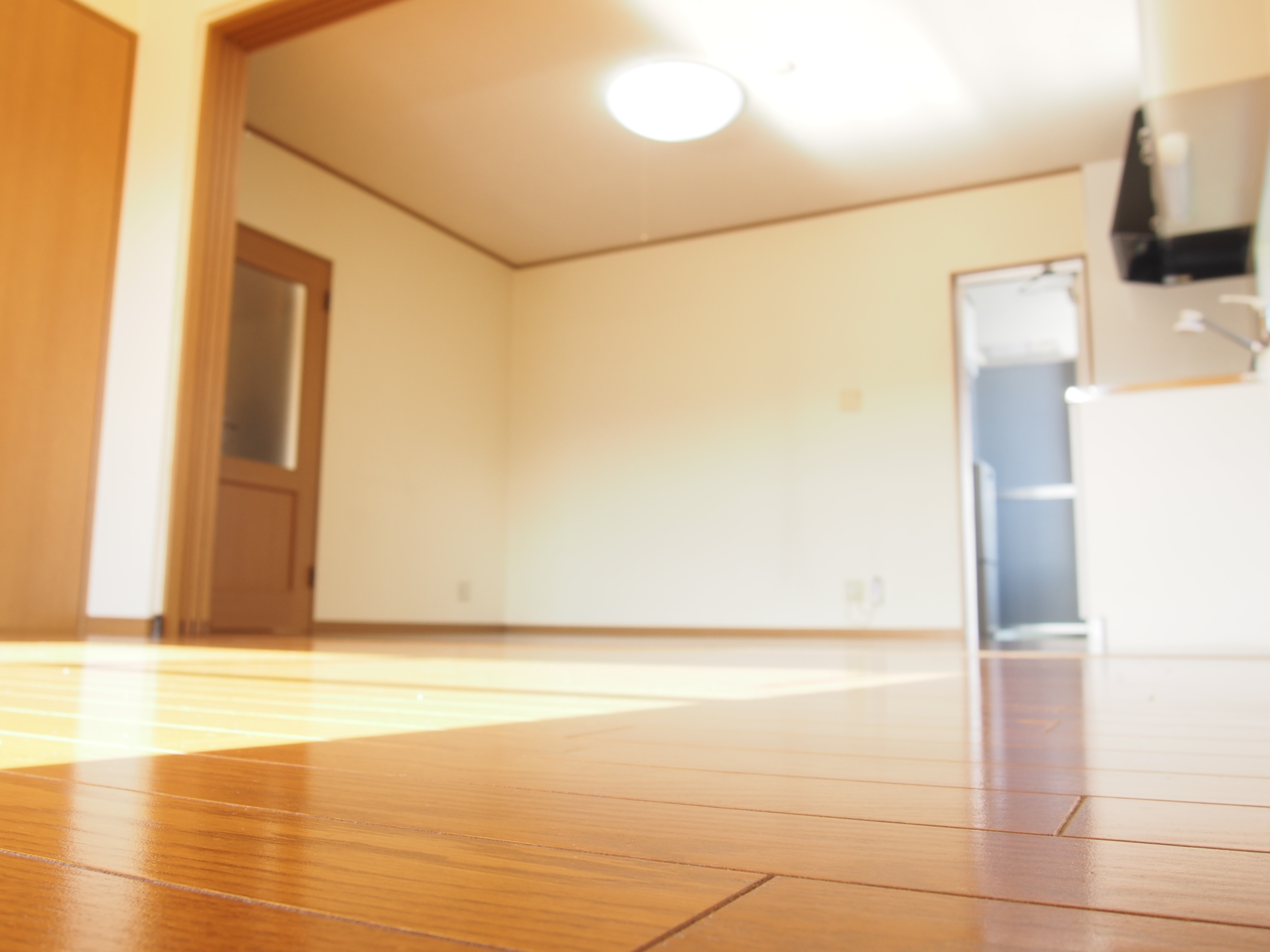 Living and room. Spacious living room