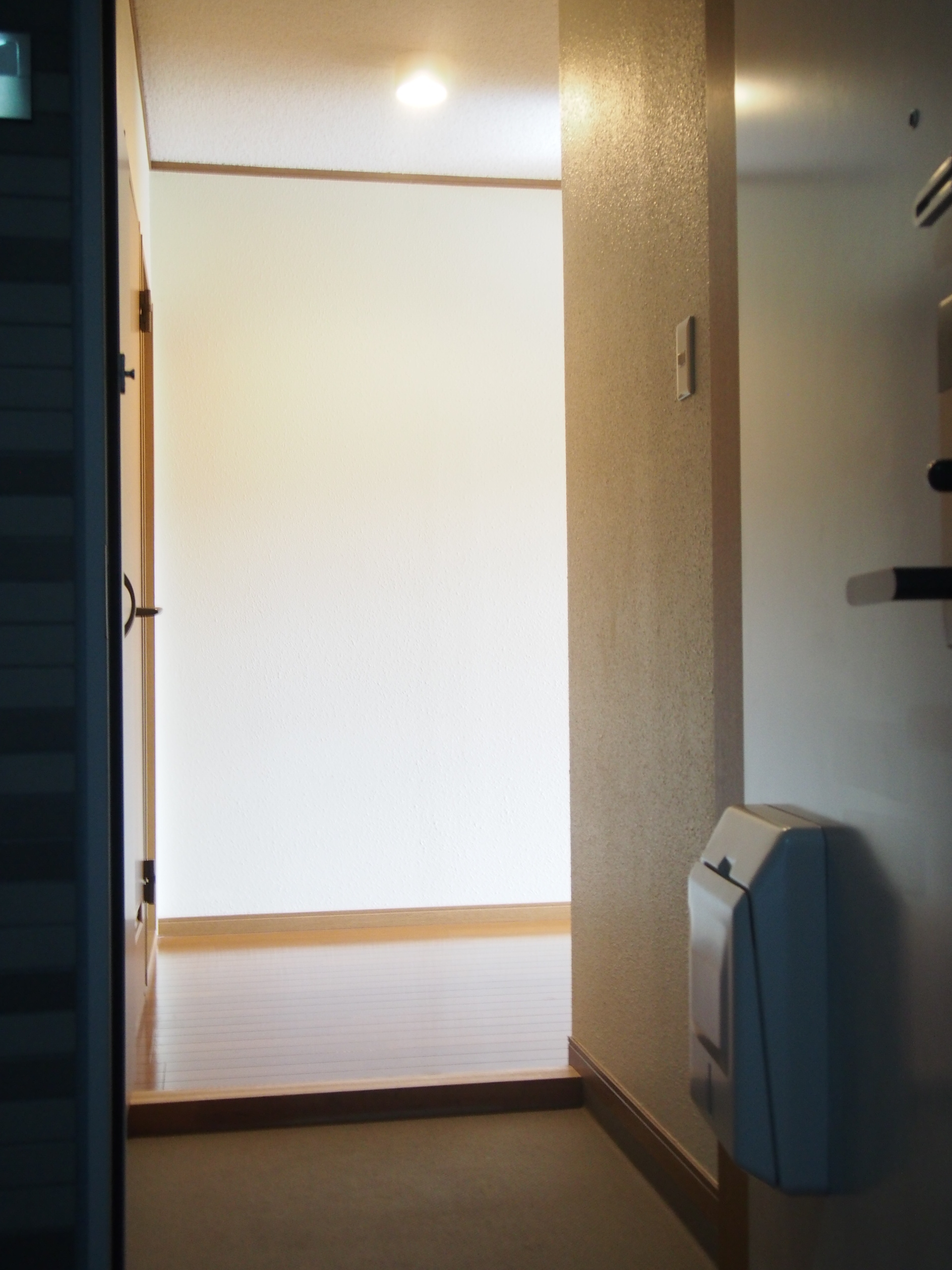 Entrance. Spacious entrance