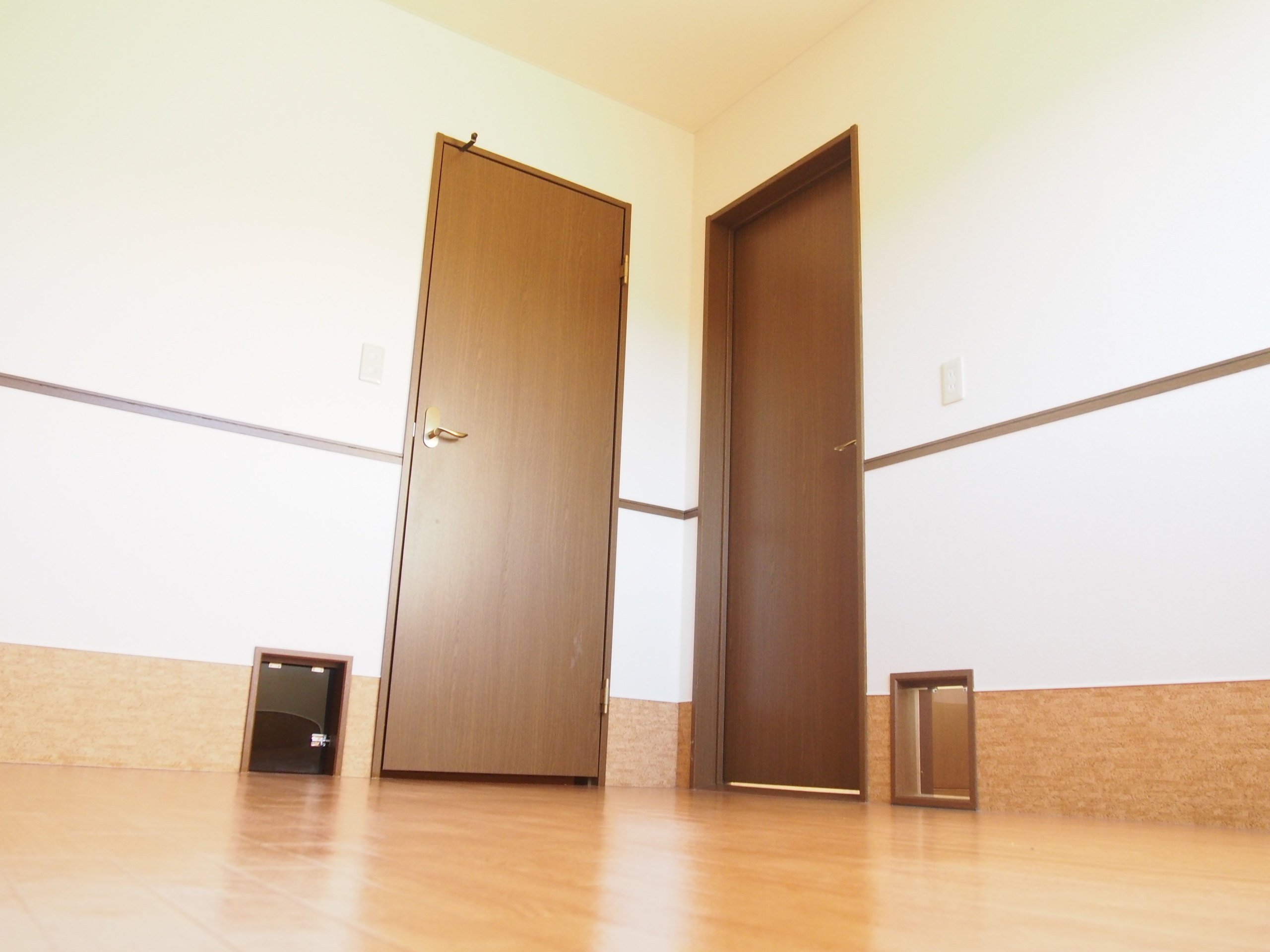 Other room space. Try to imagine the dog to come out.