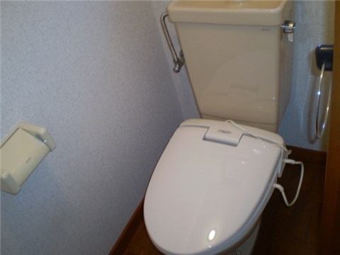 Other room space. Toilet