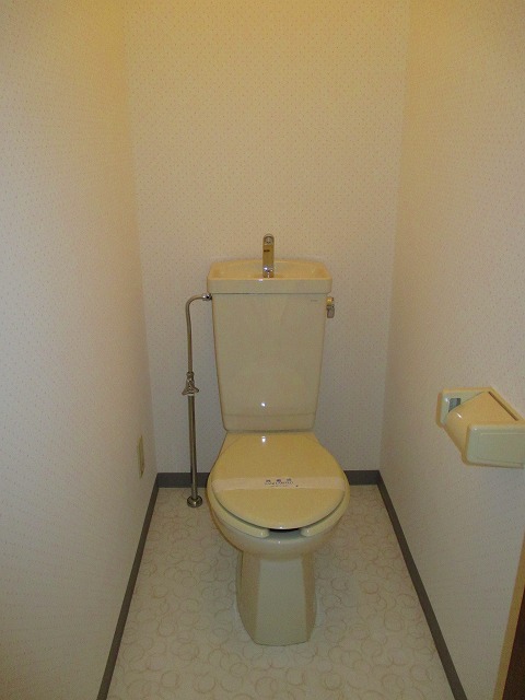 Toilet. Sort paste all the walls nor the floor