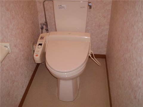 Other. Toilet