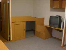 Other. With storage bed