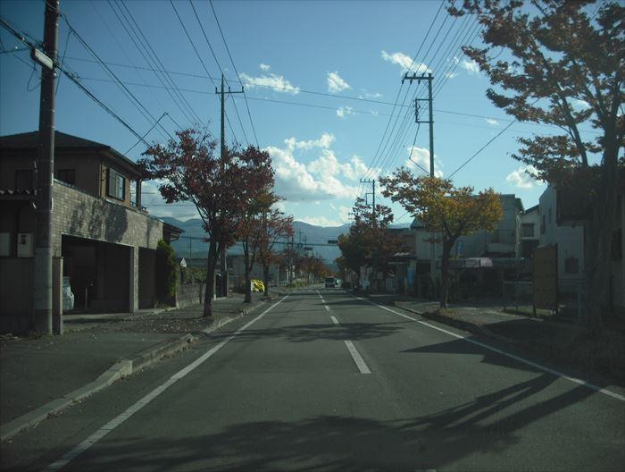 Other. Neighborhood landscape (2)