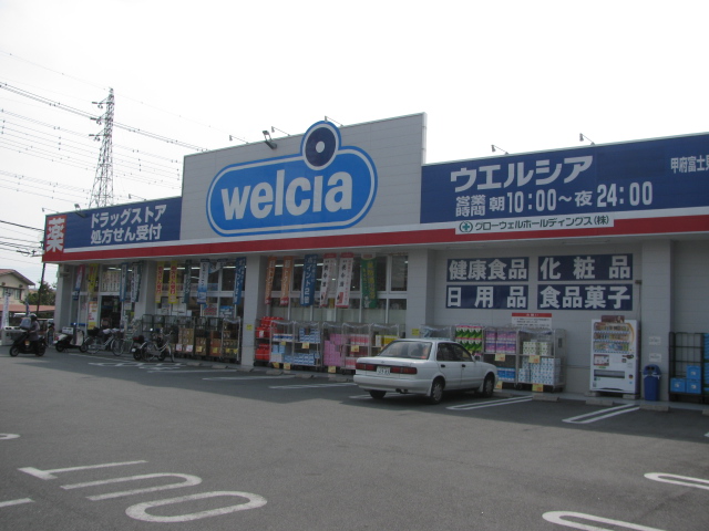 Dorakkusutoa. Uerushia Kofu Fujimi shop 512m until (drugstore)