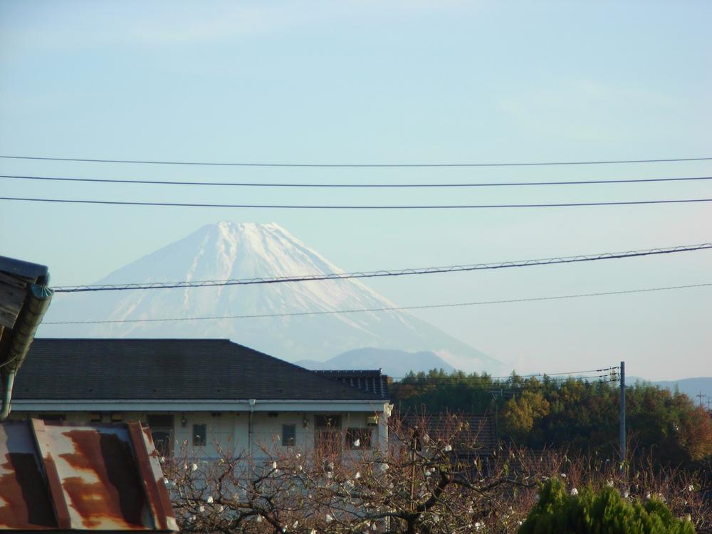 View photos from the local